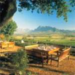 Lunch in Seidelberg Winery in Paarl